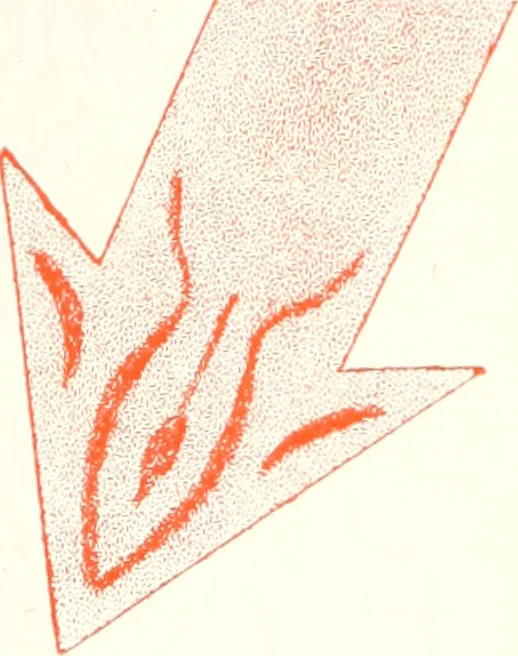 An illustration from Canadian wood products industries, 1916, leaf 502