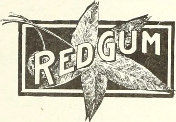 An illustration from Canadian wood products industries, 1916, leaf 526