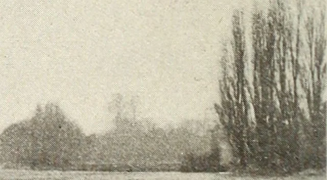 An illustration from Canadian wood products industries, 1916, leaf 567