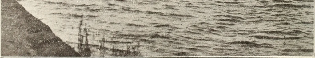An illustration from Canadian wood products industries, 1916, leaf 567