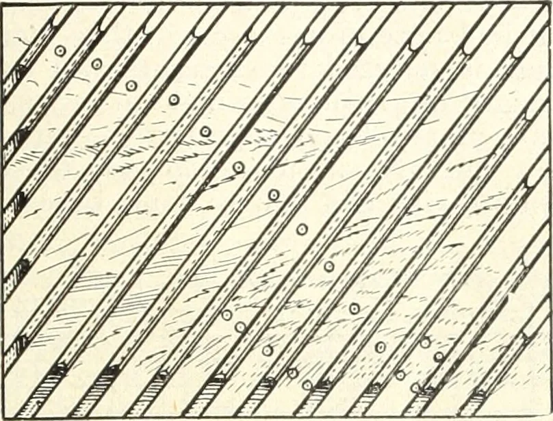 An illustration from Canadian wood products industries, 1916, leaf 636
