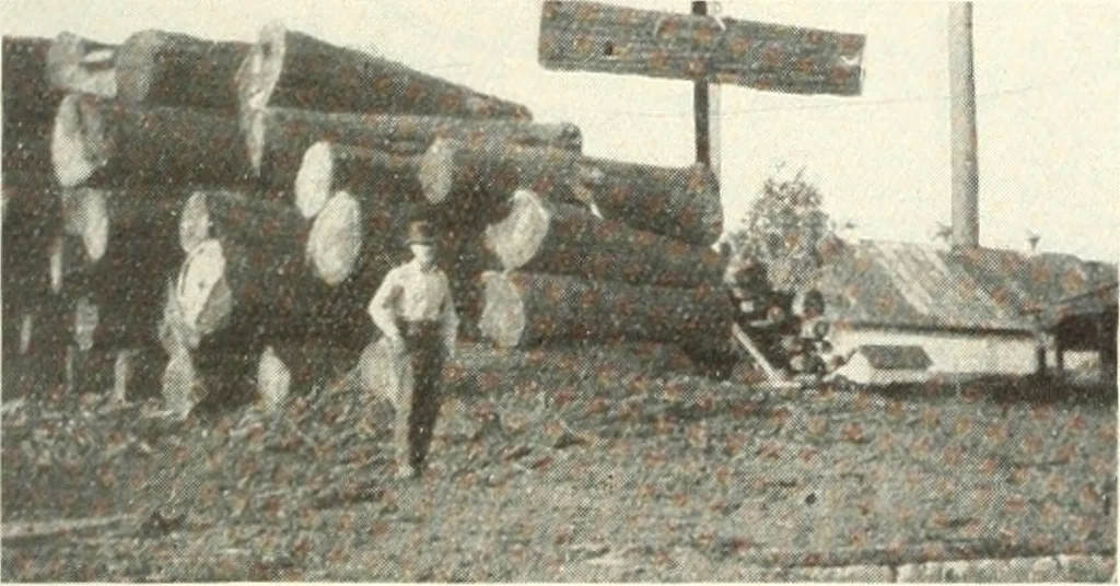 An illustration from Canadian wood products industries, 1916, leaf 90