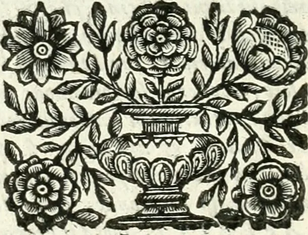 An illustration from Il cannocchiale aristotelico, o sia, Idea dell'arguta et ingeniosa elocutione : che serue à tutta l'arte oratoria, lapidaria, et simbolica, 1663, leaf 17