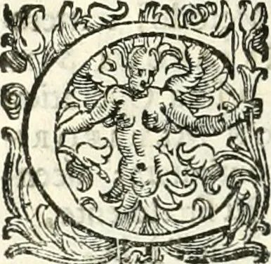 An illustration from Il cannocchiale aristotelico, o sia, Idea dell'arguta et ingeniosa elocutione : che serue à tutta l'arte oratoria, lapidaria, et simbolica, 1663, leaf 289