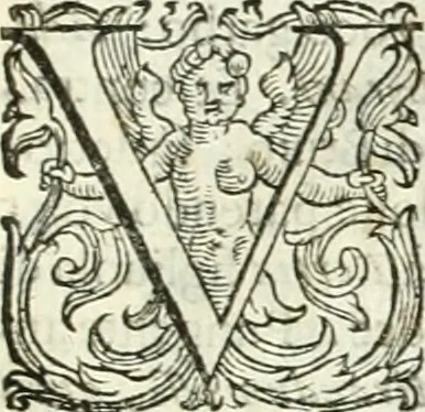 An illustration from Il cannocchiale aristotelico, o sia, Idea dell'arguta et ingeniosa elocutione : che serue à tutta l'arte oratoria, lapidaria, et simbolica, 1663, leaf 366
