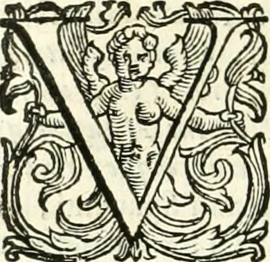 An illustration from Il cannocchiale aristotelico, o sia, Idea dell'arguta et ingeniosa elocutione : che serue à tutta l'arte oratoria, lapidaria, et simbolica, 1663, leaf 429