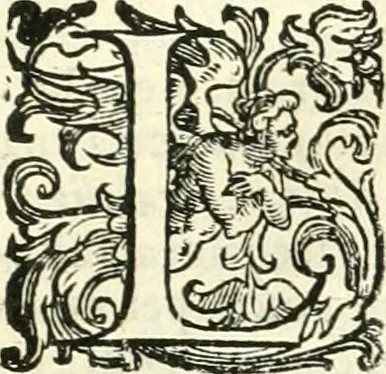 An illustration from Il cannocchiale aristotelico, o sia, Idea dell'arguta et ingeniosa elocutione : che serue à tutta l'arte oratoria, lapidaria, et simbolica, 1663, leaf 452