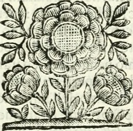 An illustration from Il cannocchiale aristotelico, o sia, Idea dell'arguta et ingeniosa elocutione : che serue à tutta l'arte oratoria, lapidaria, et simbolica, 1663, leaf 470