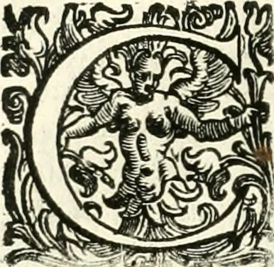 An illustration from Il cannocchiale aristotelico, o sia, Idea dell'arguta et ingeniosa elocutione : che serue à tutta l'arte oratoria, lapidaria, et simbolica, 1663, leaf 535