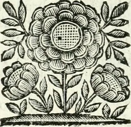An illustration from Il cannocchiale aristotelico, o sia, Idea dell'arguta et ingeniosa elocutione : che serue à tutta l'arte oratoria, lapidaria, et simbolica, 1663, leaf 567