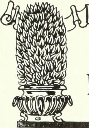 An illustration from Canadian printer & publisher, 1912, leaf 249