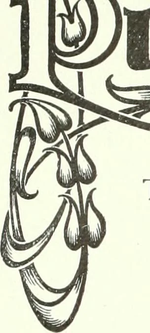 An illustration from Canadian printer & publisher, 1912, leaf 349