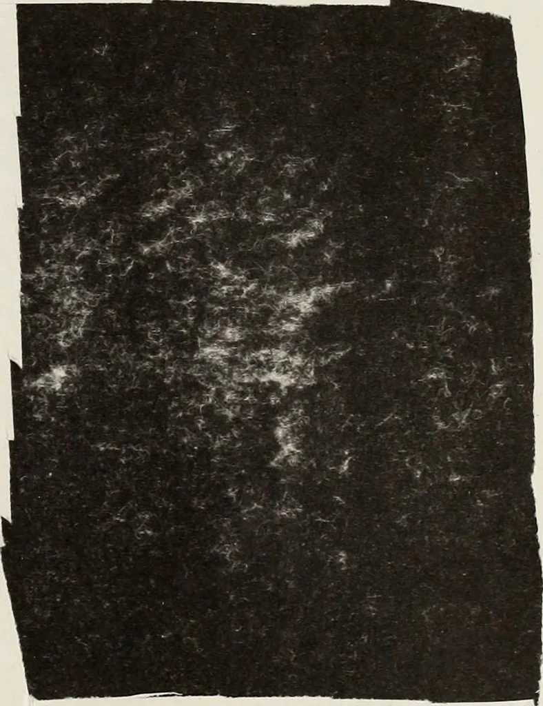 An illustration from Canadian printer & publisher, 1913, leaf 654
