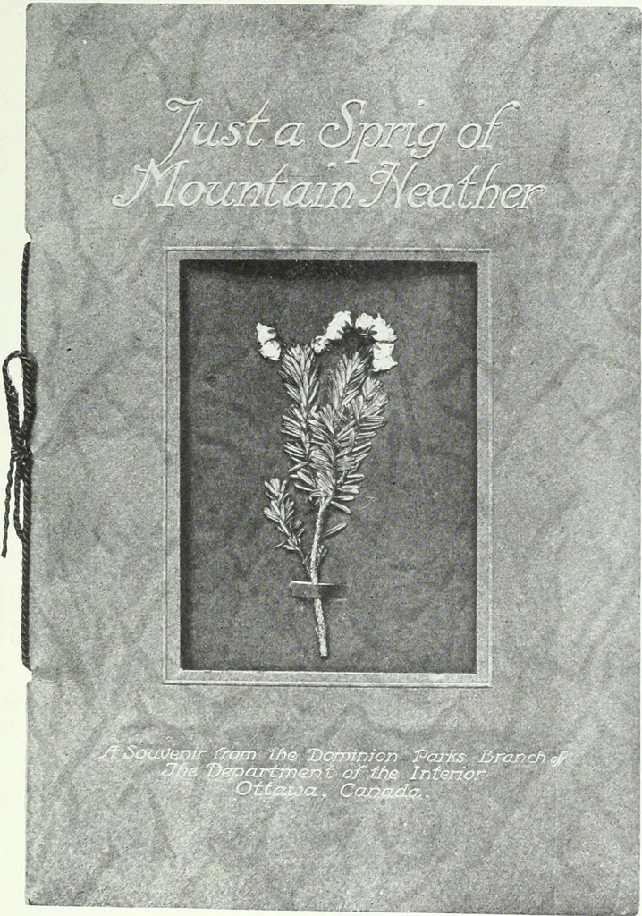 An illustration from Canadian printer & publisher, 1914, leaf 752