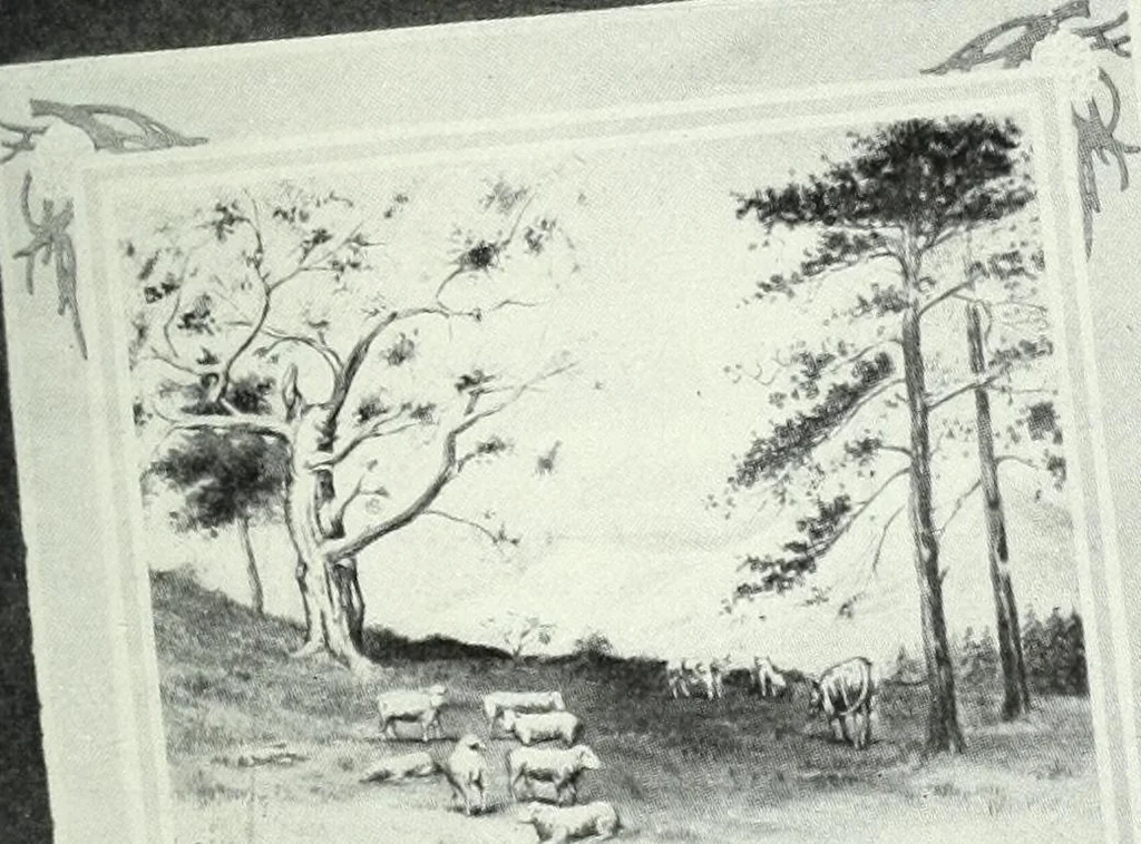 An illustration from Canadian printer & publisher, 1914, leaf 828