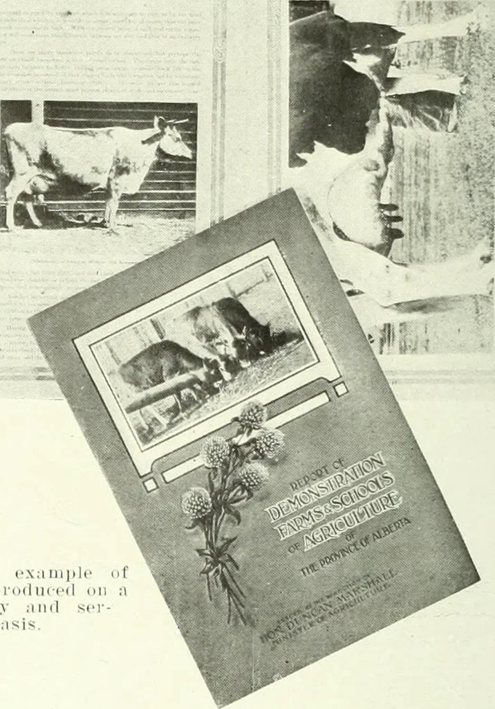 An illustration from Canadian printer & publisher, 1915, leaf 283
