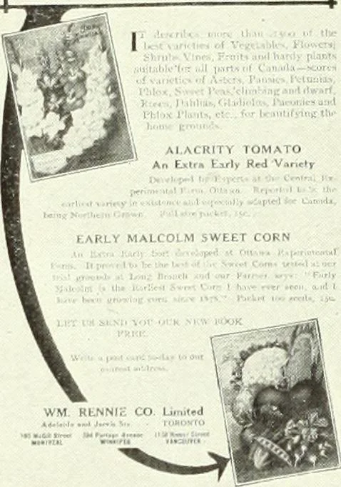 An illustration from Canadian printer & publisher, 1915, leaf 293