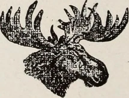 An illustration from Canadian printer & publisher, 1916, leaf 429