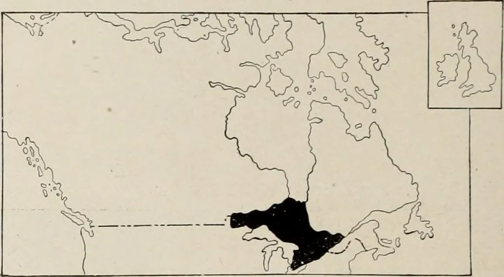 An illustration from Canadian printer & publisher, 1916, leaf 537