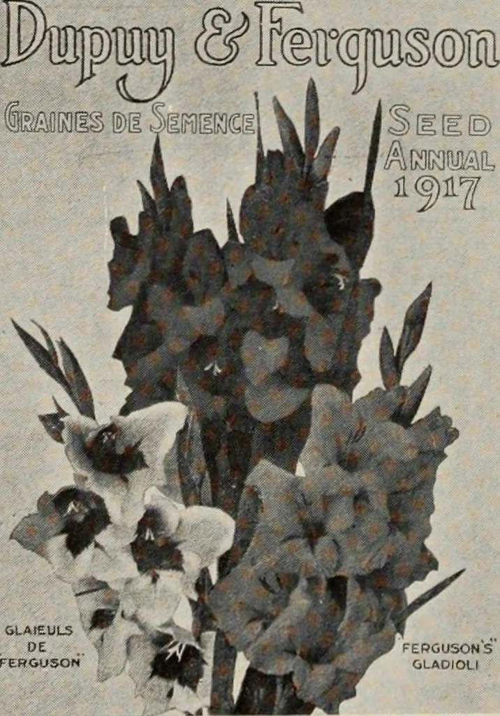 An illustration from Canadian printer & publisher, 1917, leaf 141