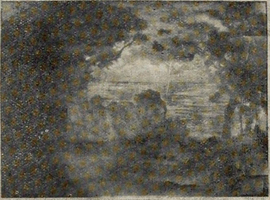 An illustration from Canadian printer & publisher, 1917, leaf 254