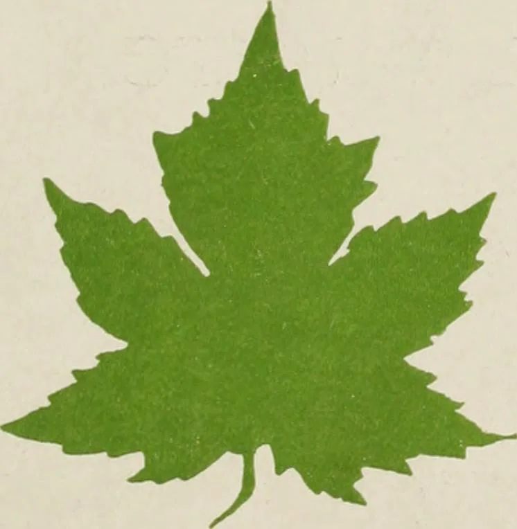 An illustration from Canadian printer & publisher, 1917, leaf 344