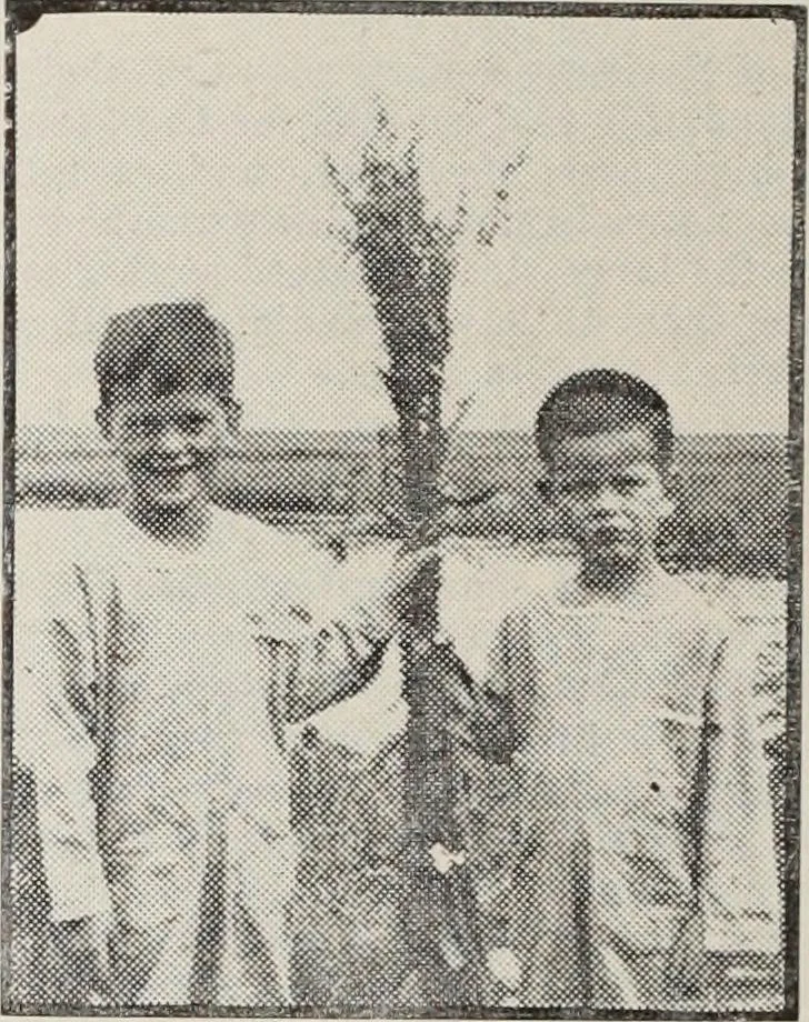 An illustration from Canadian printer & publisher, 1919, leaf 675
