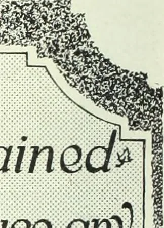 An illustration from Canadian printer & publisher, 1920, leaf 243
