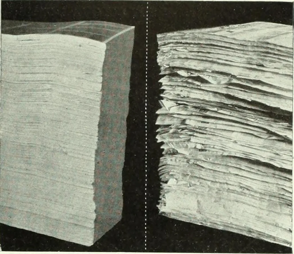 An illustration from Canadian printer & publisher, 1920, leaf 382