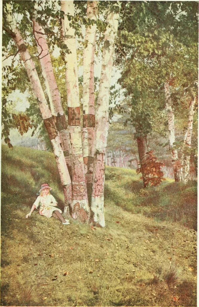 An illustration from Canadian printer & publisher, 1920, leaf 608