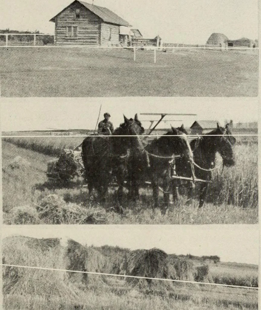 An illustration from Canadian printer & publisher, 1921, leaf 250