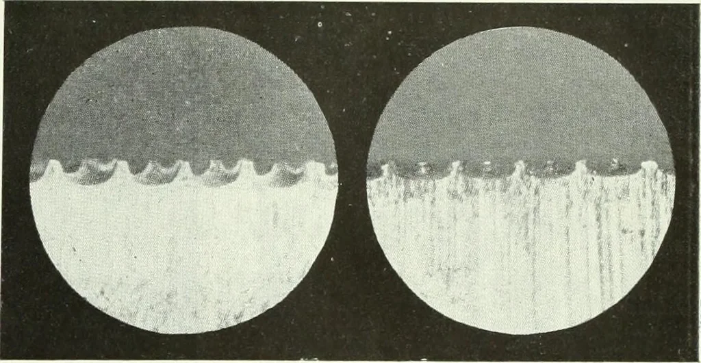 An illustration from Canadian printer & publisher, 1922, leaf 434