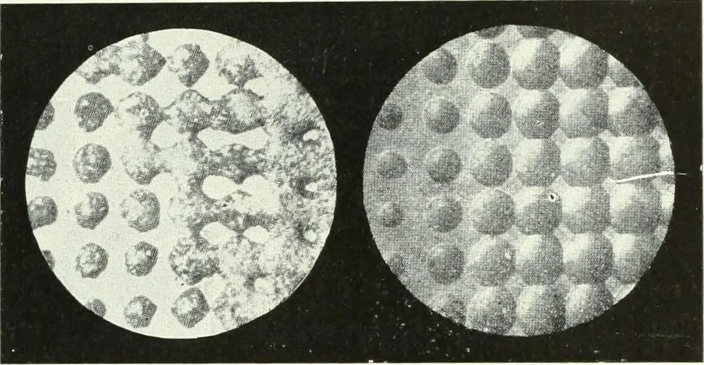 An illustration from Canadian printer & publisher, 1922, leaf 434