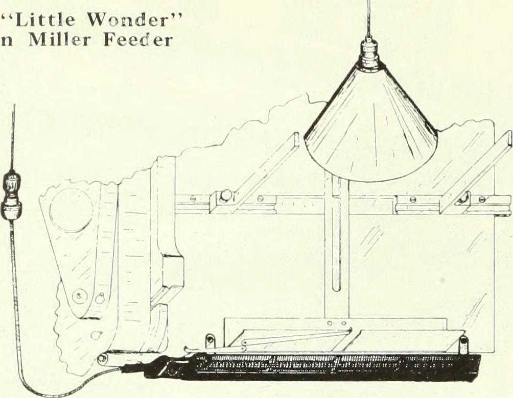 An illustration from Canadian printer & publisher, 1922, leaf 613