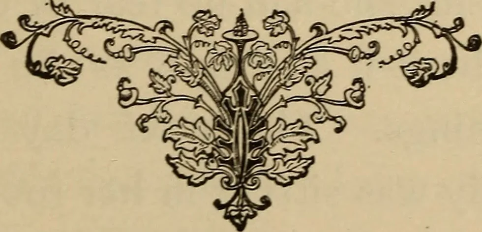 An illustration from Can telepathy explain? : results of psychical research, 1902, leaf 138