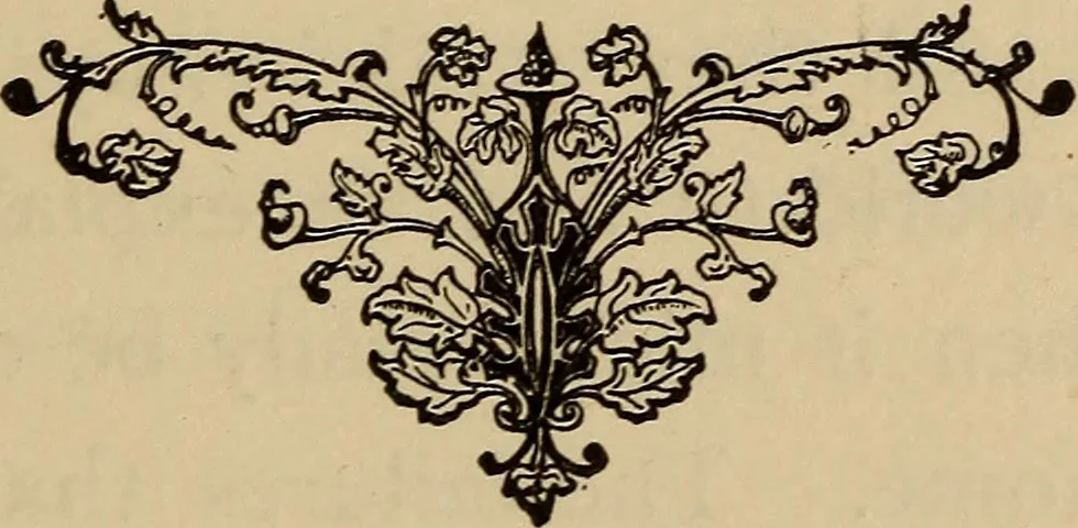 An illustration from Can telepathy explain? : results of psychical research, 1902, leaf 216