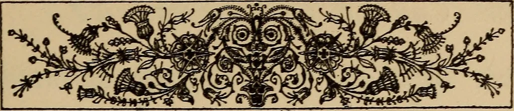 An illustration from Can telepathy explain? : results of psychical research, 1902, leaf 226
