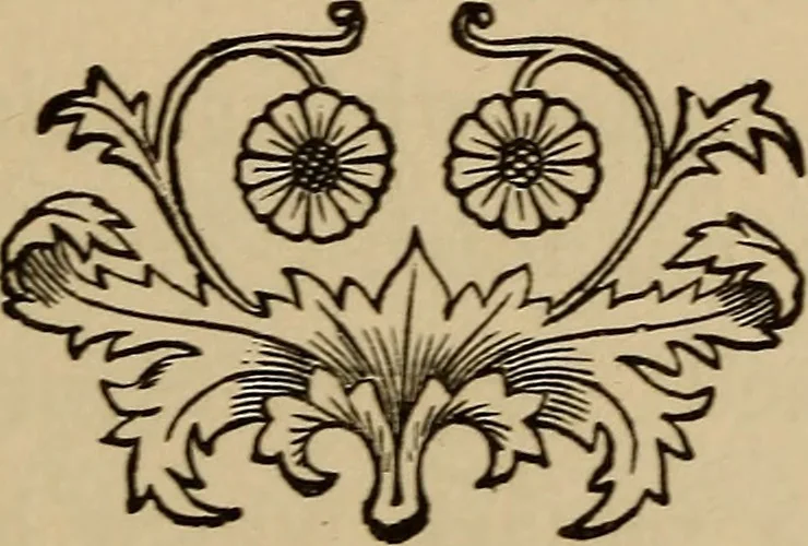 An illustration from Can telepathy explain? : results of psychical research, 1902, leaf 46