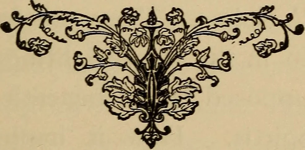 An illustration from Can telepathy explain? : results of psychical research, 1902, leaf 56