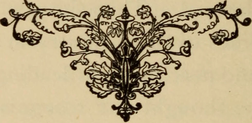 An illustration from Can telepathy explain? : results of psychical research, 1902, leaf 75
