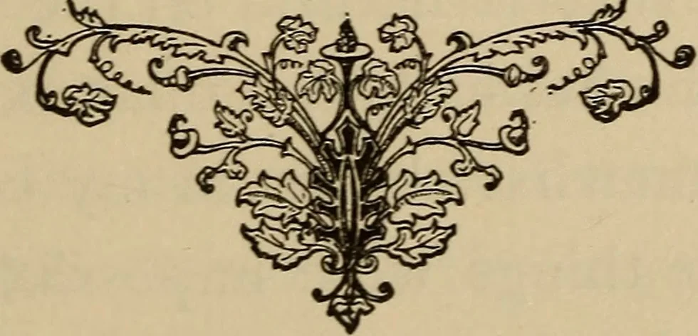 An illustration from Can telepathy explain? : results of psychical research, 1902, leaf 88