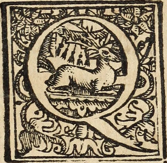 An illustration from Canto harmonico : in cinque parti diviso, col quale si può arriuare alla perfetta cognitione del canto fermo, 1690, leaf 10