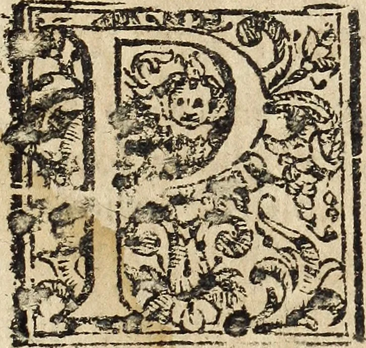 An illustration from Canto harmonico : in cinque parti diviso, col quale si può arriuare alla perfetta cognitione del canto fermo, 1690, leaf 12