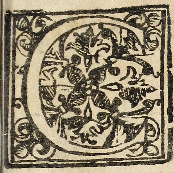 An illustration from Canto harmonico : in cinque parti diviso, col quale si può arriuare alla perfetta cognitione del canto fermo, 1690, leaf 258