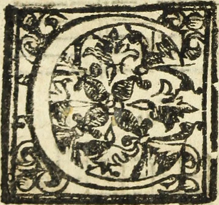 An illustration from Canto harmonico : in cinque parti diviso, col quale si può arriuare alla perfetta cognitione del canto fermo, 1690, leaf 269