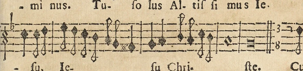 An illustration from Canto harmonico : in cinque parti diviso, col quale si può arriuare alla perfetta cognitione del canto fermo, 1690, leaf 274
