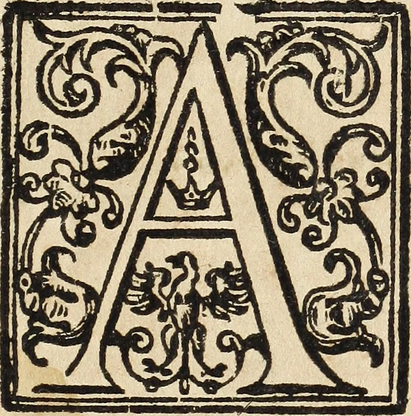 An illustration from Canto harmonico : in cinque parti diviso, col quale si può arriuare alla perfetta cognitione del canto fermo, 1690, leaf 8