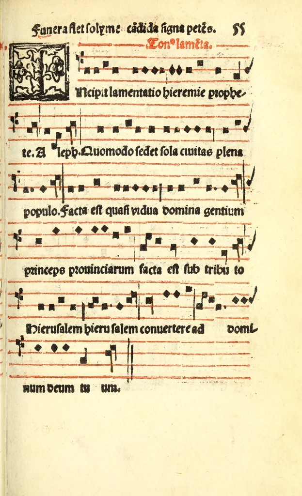 An illustration from Cantus monastici formula noviter impressa : ac in melius redacta : cui aliqua que deerant : consilio multoru[m] adiu[n]cta, 1523, leaf 113
