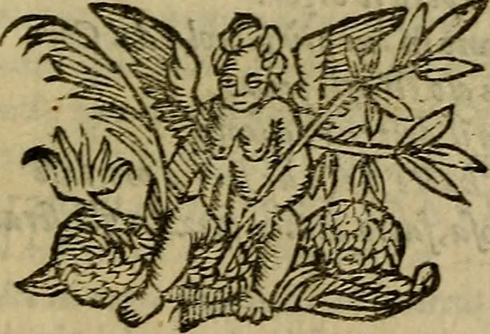 An illustration from Canzonette del sig. Gasparo Murtola : con altre rime del medesimo non più stampate, 1608, leaf 218