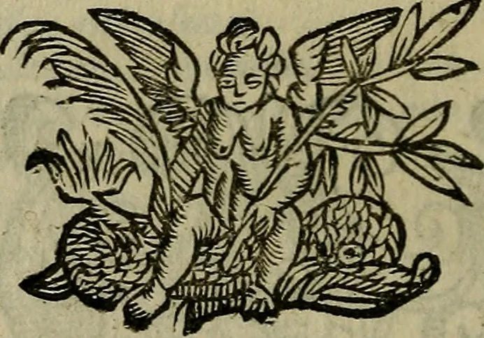 An illustration from Canzonette del sig. Gasparo Murtola : con altre rime del medesimo non più stampate, 1608, leaf 235